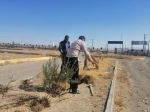 روز درخت کاری مبارک بارک 4