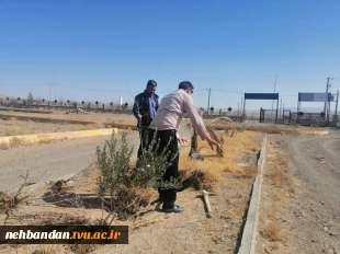 روز درخت کاری مبارک بارک 4