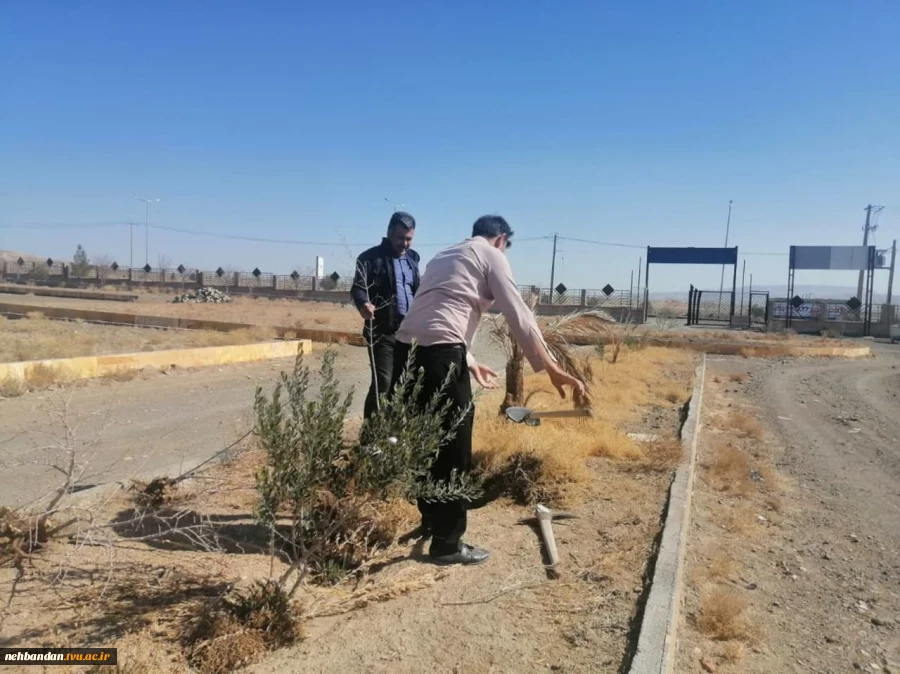 روز درخت کاری مبارک بارک 4