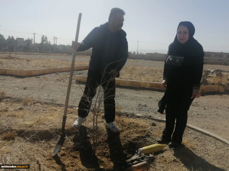 روز درخت کاری مبارک بارک 5